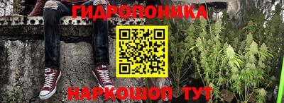 крисы Ипатово
