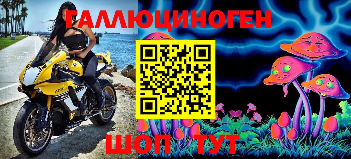 Галлюциногенные грибы GOLDEN TEACHER Кубинка
